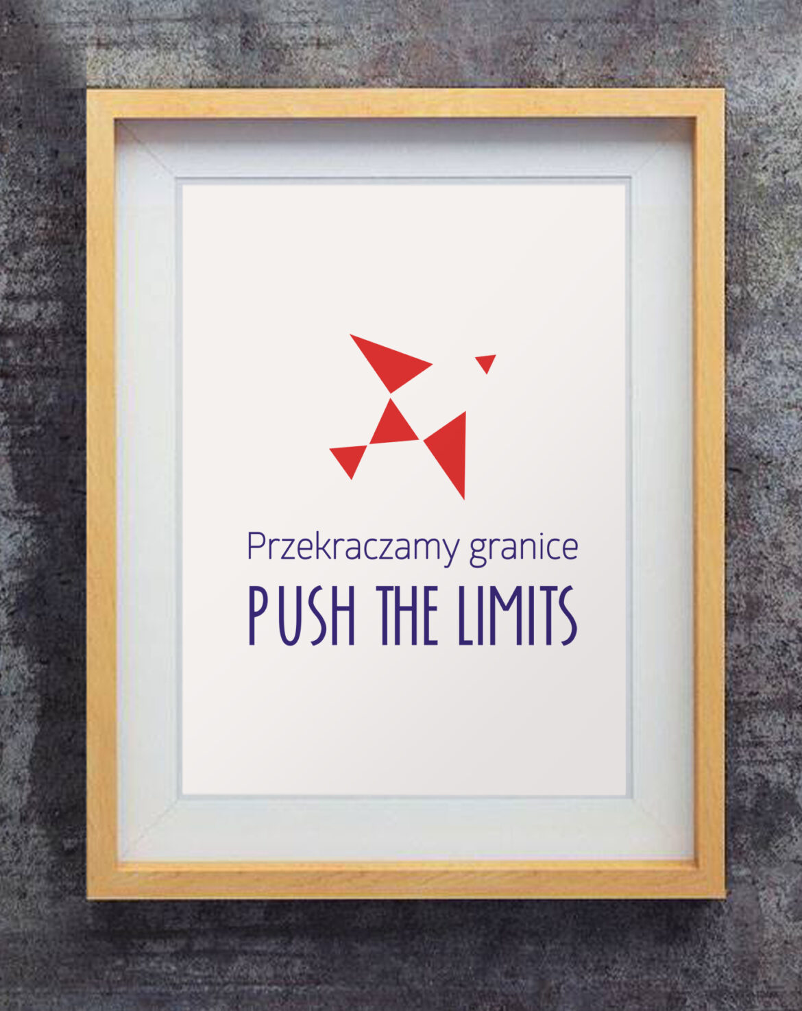 PLinEU | Przekraczamy granice. Push the limits