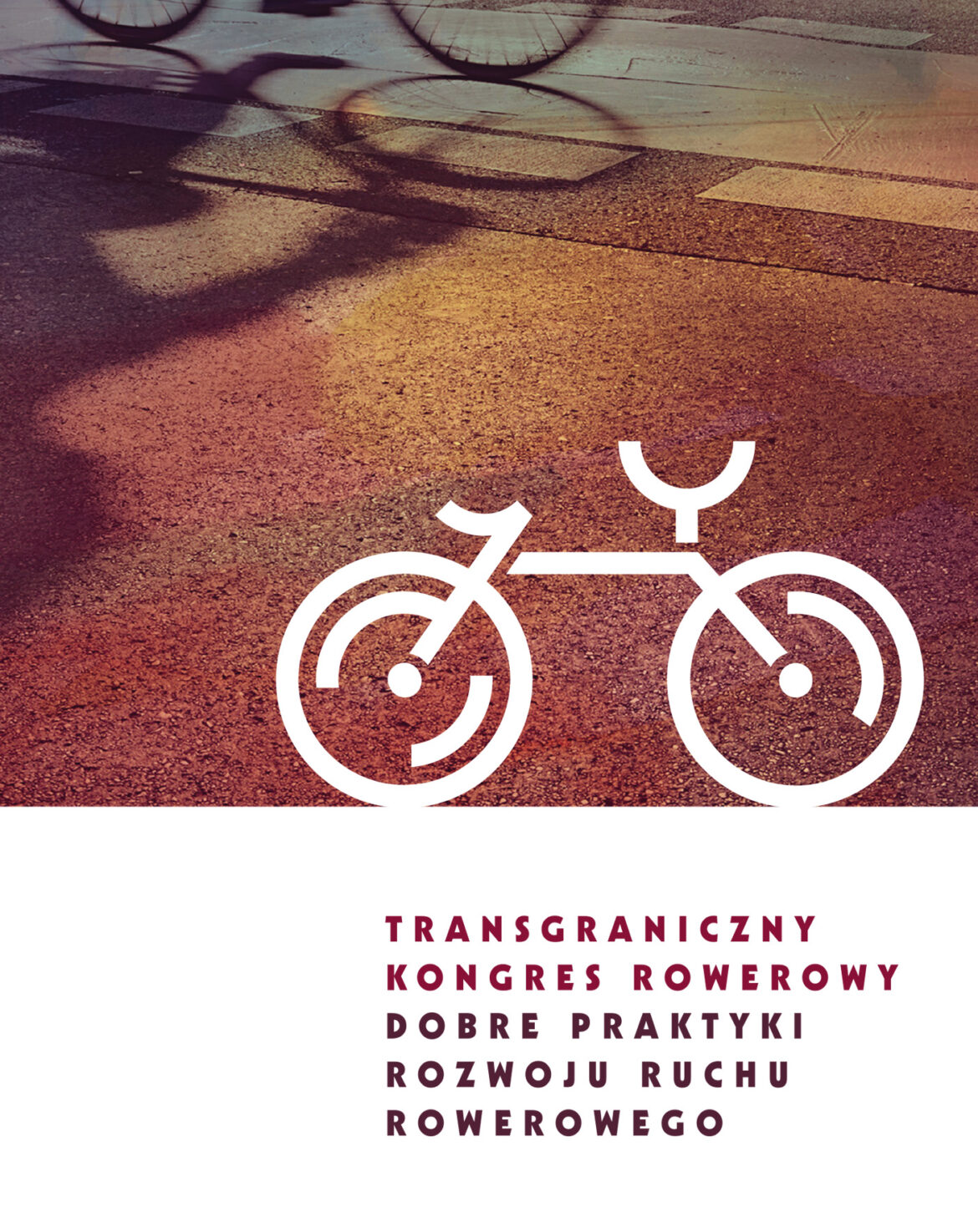 Transgraniczny Kongres Rowerowy „Dobre praktyki rozwoju ruchu rowerowego” | Wrocław